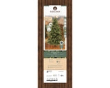 Greenhill Fir Tree Pre Lit Soft Warm LED Lights