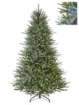 Blue Royale Spruce Tree Pre-Lit Dual Lite LED Lights