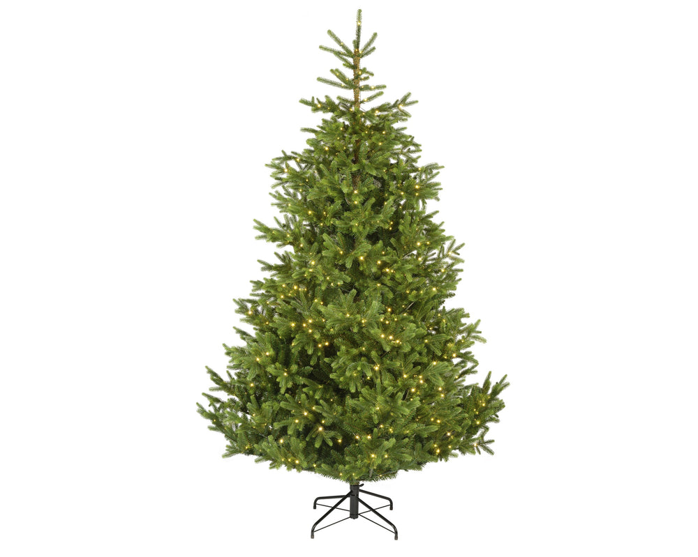 Nordmann Fir Tree Pre-Lit Warm White LED Lights With Twinkle Effect