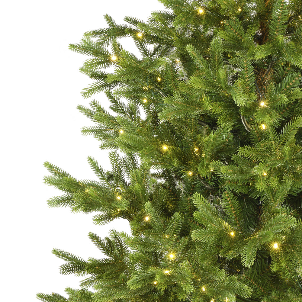 Nordmann Fir Tree Pre-Lit Warm White LED Lights With Twinkle Effect