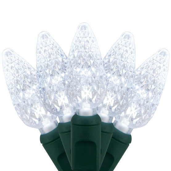 33 FT 100 LED C6 Light String