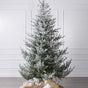 Norway Spruce Snowy Tree Unlit