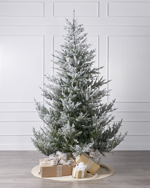 Norway Spruce Snowy Unlit