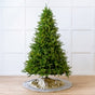 Telluride Fir Slim Tree Pre-Lit Warm White LED Lights