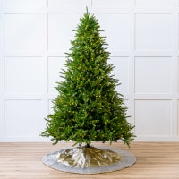 Telluride Fir Slim Tree Pre-Lit Warm White LED Lights