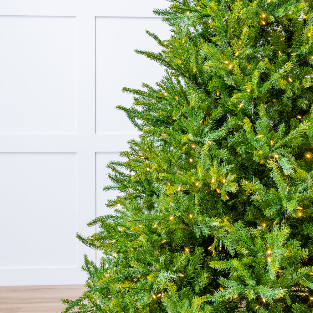 Telluride Fir Pre Lit Warm White LED Lights