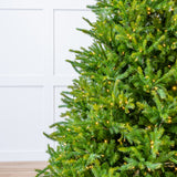 Telluride Fir Pre Lit Warm White LED Lights