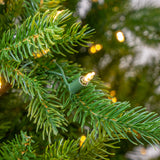 7.5 FT Telluride Fir Tree Pre-Lit Multi Color LED Lights