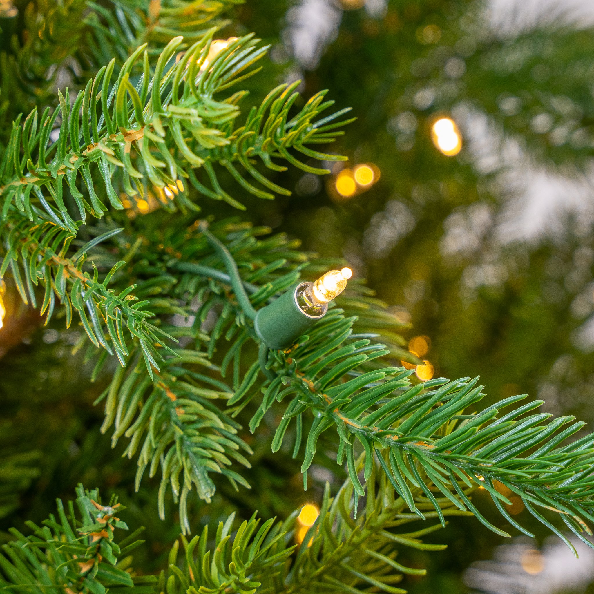 Telluride Fir Slim Tree Pre-Lit Warm White LED Lights