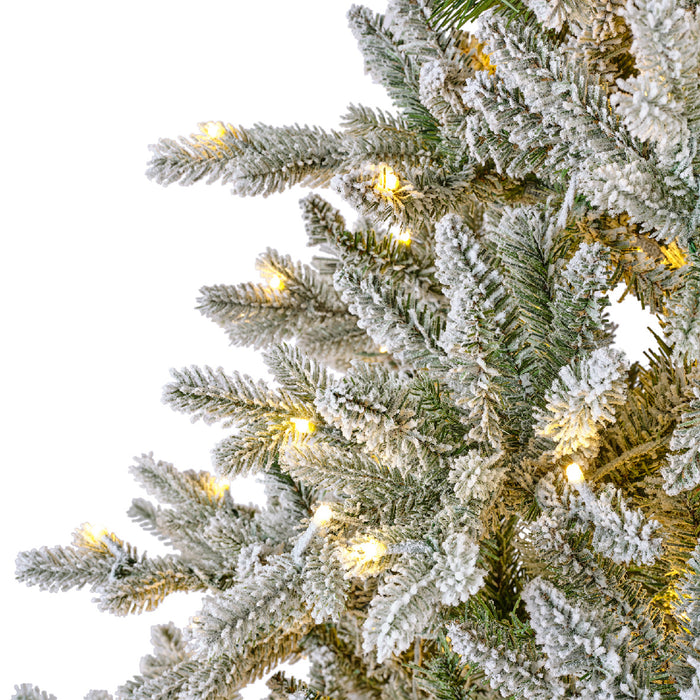 Snowy Allison Pine Pre-Lit Warm White & Multi Color LED Lights