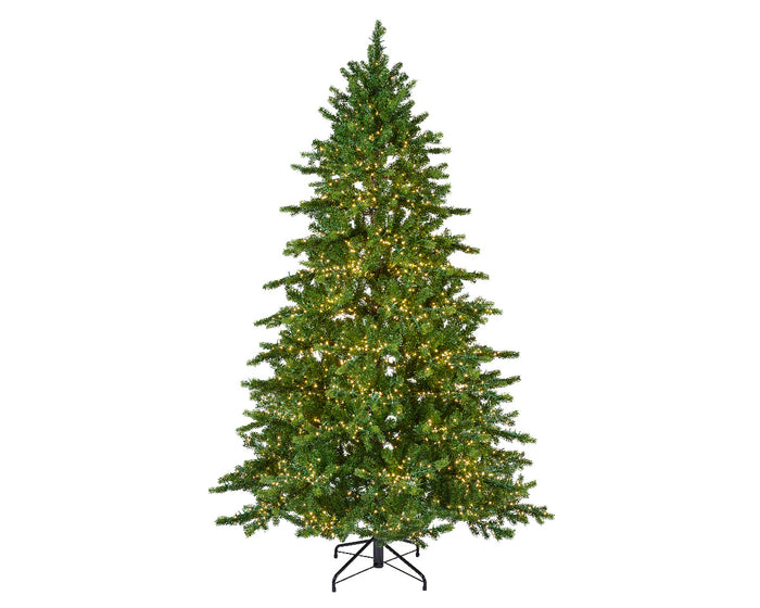 Galloway Spruce Tree Pre-Lit Warm White LED Lights