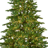 Galloway Spruce Tree Pre Lit Warm White Led Lights With Twinkle Effect