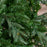 Montana Fir Pre-Lit Warm White LED & Flashing Lights