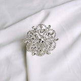 Clear, Silver Jeweled Napkin Ring