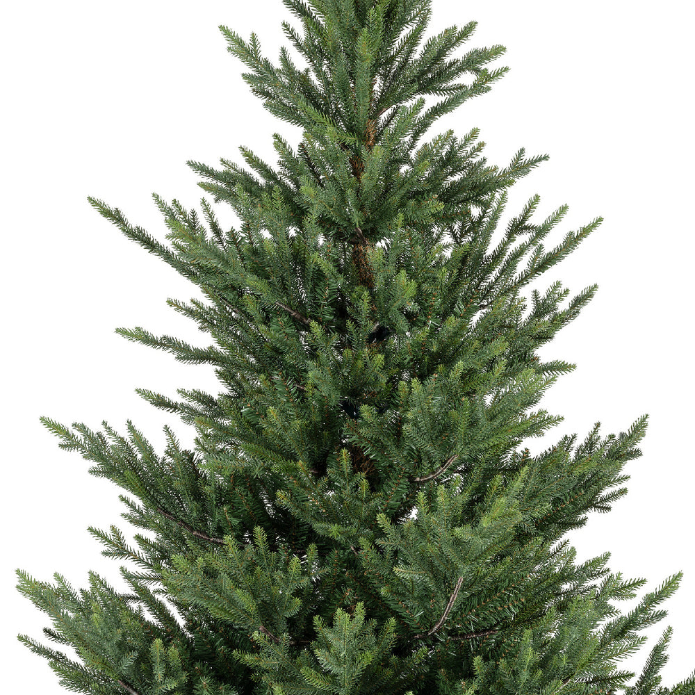 Norway Spruce Tree Unlit