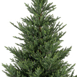 Norway Spruce Tree Unlit