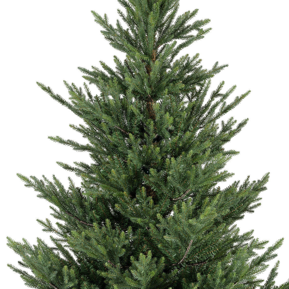 Norway Spruce Tree Unlit