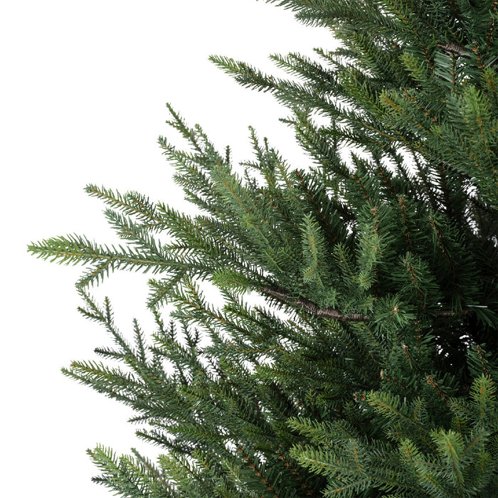 Norway Spruce Tree Unlit