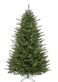 6.5 FT Telluride Fir Pre Lit Warm White LED Lights