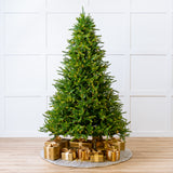 Telluride Fir Pre Lit Warm White LED Lights