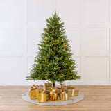 Kentucky Fir Tree Pre Lit Warm White LED Lights