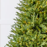 Kentucky Fir Tree Pre Lit Warm White LED Lights