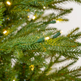 Kentucky Fir Tree Pre Lit Warm White LED Lights