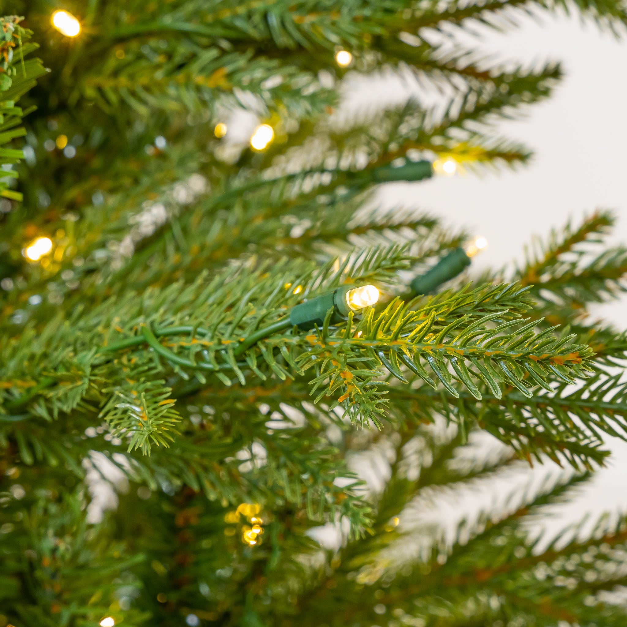 Kentucky Fir Tree Pre Lit Warm White LED Lights