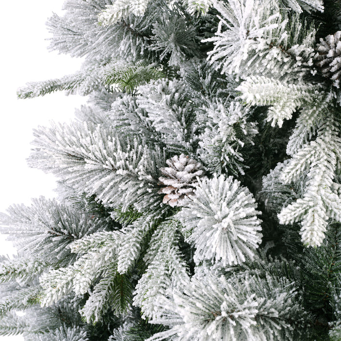 Lausanne Fir Snowy Tree