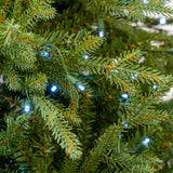 Kentucky Fir Tree Pre Lit Pure White LED Lights