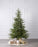 Norway Spruce Tree Pre Lit Warm White Micro LED Lights