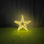 2 FT 3D Star Warm White With Cool White Flashing Effect
