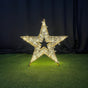 4 FT 3D Star Warm White & Cool White Flashing Effect