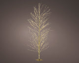 6 FT 1755 LED Warm White Micro Tree With Gold Trunk