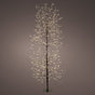 6 FT 1755 LED Warm White Micro Tree With Black Trunk