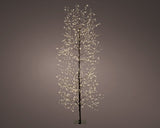 6 FT 1755 LED Warm White Micro Tree With Black Trunk