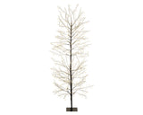 6 FT 1755 LED Warm White Micro Tree With Black Trunk