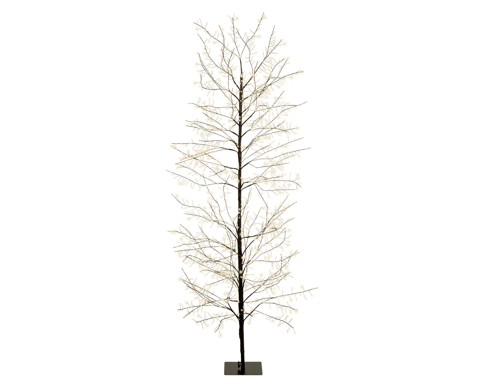 6 FT 1755 LED Warm White Micro Tree With Black Trunk