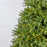 Kentucky Fir Tree Pre Lit Warm White LED Lights