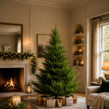 Norway Spruce Tree Unlit