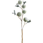 33" Green White Snowed Chestnut Spray
