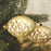 6" Champagne Matte Finial Ornament Box of 2