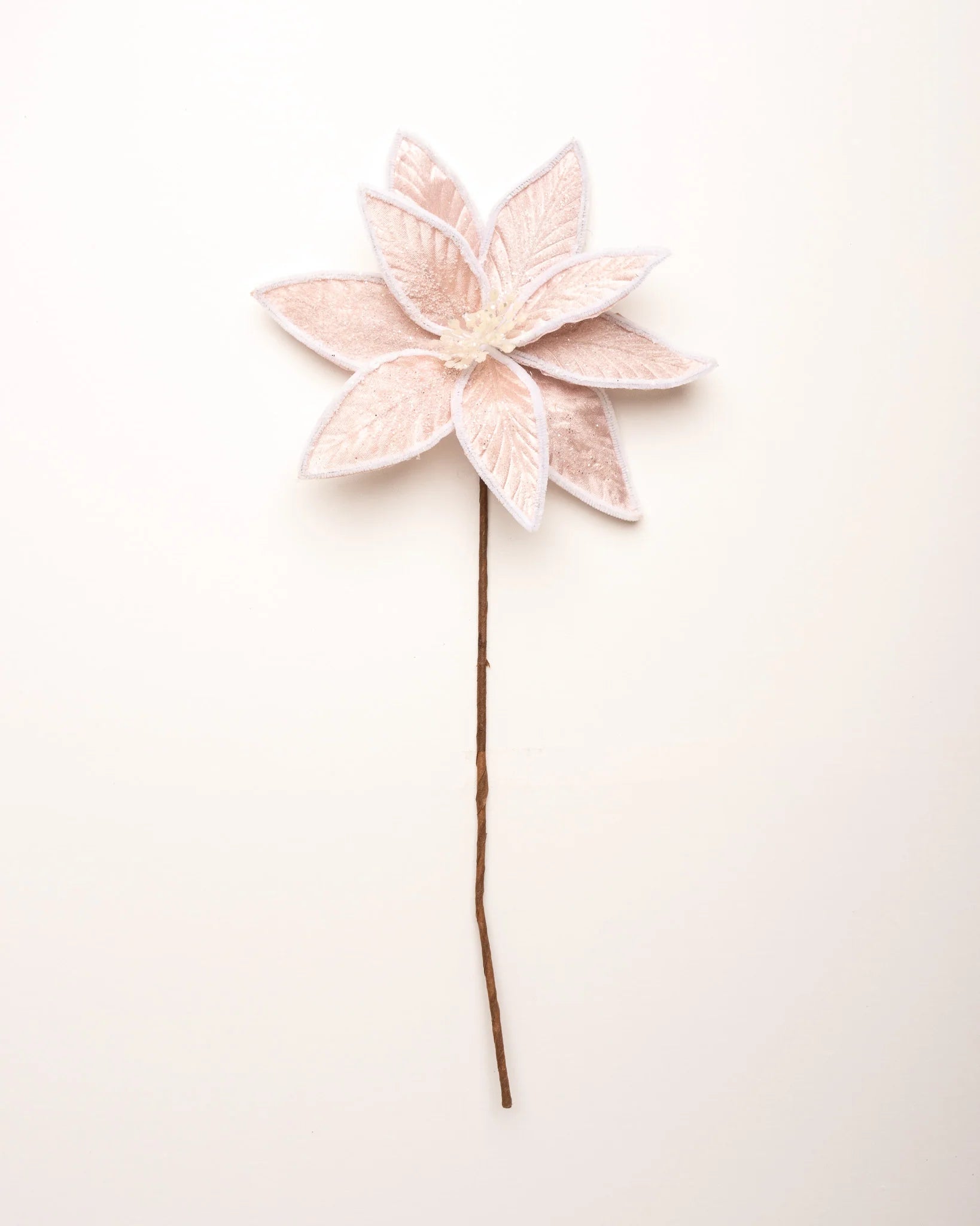 24" Pink Cotton Candy Poinsettia Stem