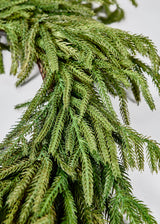 24" Green Norfolk Pine Wreath