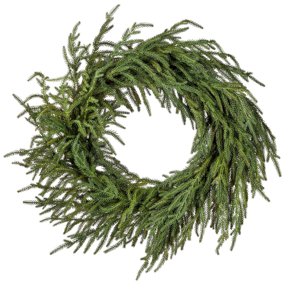 24" Green Norfolk Pine Wreath