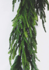5 FT Green Norfolk Pine Garland