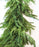Real Touch Norfolk Pine Collection