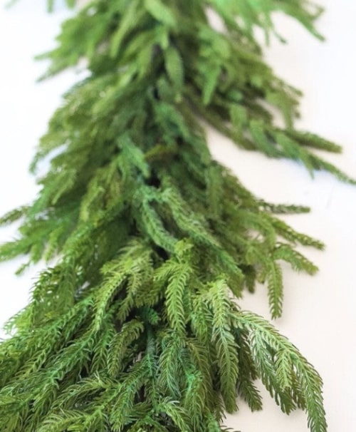 5 FT Green Norfolk Pine Garland