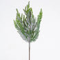 24" Frosted Norfolk Pine Spray