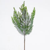 24" Frosted Norfolk Pine Spray